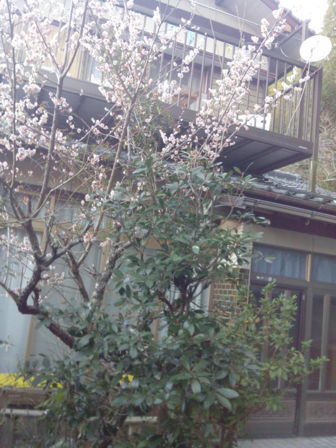 Raibrasil Guest House Sanuki  Экстерьер фото